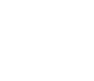 Diversity In Government logo